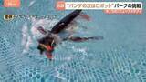 「「ペンギンロボット」が新たな看板に？パンダがいなくなったアドベンチャーワールドが仕掛ける“意外”なもの」の画像1