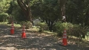 10代未満から50代の男女15人がアシナガバチに刺される　全員意識あり軽傷　巣は消防が取り除く　茨城・つくば市の遊歩道
