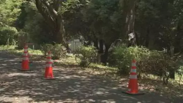 10代未満から50代の男女15人がアシナガバチに刺される　全員意識あり軽傷　巣は消防が取り除く　茨城・つくば市の遊歩道