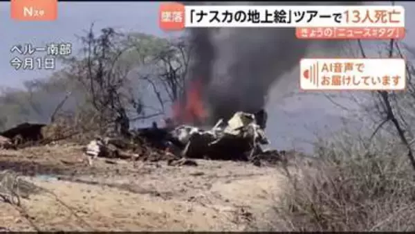 「ナスカの地上絵」ツアーで13人死亡　小型機墜落