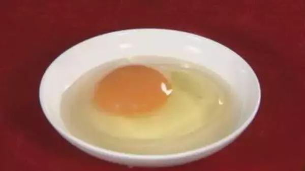 「高値続くたまごの需給見通し「夏までに徐々に落ち着く」　一方、秋からはイラン情勢による原油高が価格に影響の可能性」の画像