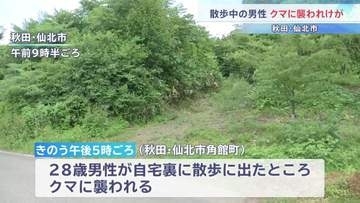 散歩中の男性（20代）クマに襲われけが　命に別状なし　クマの体長約1メートル　箱わなを設置して警戒　秋田・仙北市