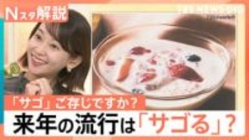 来年流行る？「サゴ」ってなあに？ せいろ・麻辣湯・生ドーナツ 今年の食トレンド大賞発表【Nスタ解説】