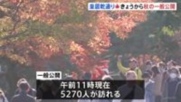 紅葉が見ごろ 皇居・乾通りで秋の一般公開始まる　12月7日までの9日間 予約なしで入場可