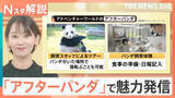 「上野のパンダ返還で経済効果308億円が消滅危機？和歌山はゼロ頭でも「アフターパンダ」で魅力発信【Nスタ解説】」の画像1