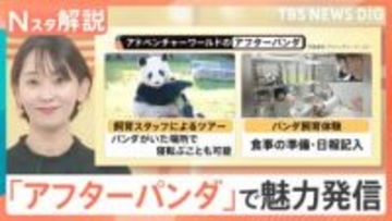 上野のパンダ返還で経済効果308億円が消滅危機？和歌山はゼロ頭でも「アフターパンダ」で魅力発信【Nスタ解説】