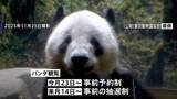 「もうすぐ「お別れ」上野の双子パンダ「シャオシャオ」「レイレイ」　返還発表から初めての週末は早朝から大行列　23日からは事前予約制・その後は抽選制に」の画像1