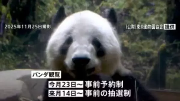 もうすぐ「お別れ」上野の双子パンダ「シャオシャオ」「レイレイ」　返還発表から初めての週末は早朝から大行列　23日からは事前予約制・その後は抽選制に