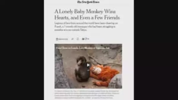 英語でも「頑張れパンチ」　海を越え日本の赤ちゃんザルに応援の声