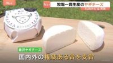 新緑の季節に…日本で珍しい「ヤギチーズ」製造の牧場を取材　春～秋の限られた期間のみ搾乳　開業数年で国内外で受賞歴も【SUNトピ】