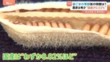 新ごまの季節が到来！11月5日は「ごまの日」国産は“0.02％ほど”希少な国産農家に聞いた「新ごまの味」