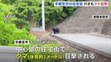 「けさも…「目を疑った」宇都宮市の住宅街で目撃相次ぐ　警察には約20件の通報　6日夕方には体長1mほどのクマ目撃…警察や猟友会などが警戒続ける」の画像1