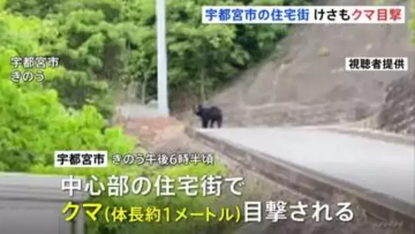 けさも…「目を疑った」宇都宮市の住宅街で目撃相次ぐ　警察には約20件の通報　6日夕方には体長1mほどのクマ目撃…警察や猟友会などが警戒続ける