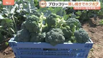 今月から指定野菜「ブロッコリー」サラダだけじゃない絶品グルメ！一大産地の埼玉県スピード半端ない収穫方法は？