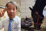 「【 見栄晴 】萩本欽一さん所有の繁殖牝馬の出産を報告「欽ちゃんをG１の舞台へ連れて行って欲しい」「欽ちゃんファミリーの夢です」」の画像1