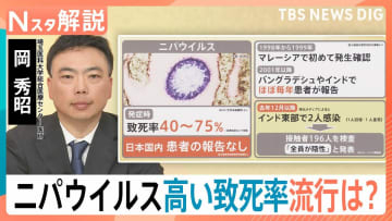 高い致死率「ニパウイルス」アジア各国で流行の懸念　ワクチン・特効薬なし…日本への流入リスクは？【Nスタ解説】