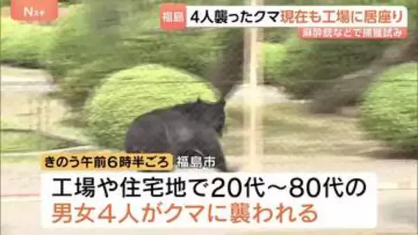 福島市で4人襲ったクマ“丸1日”たった現在も工場内に　建物内に引火性のものがあり麻酔銃などで捕獲試みる