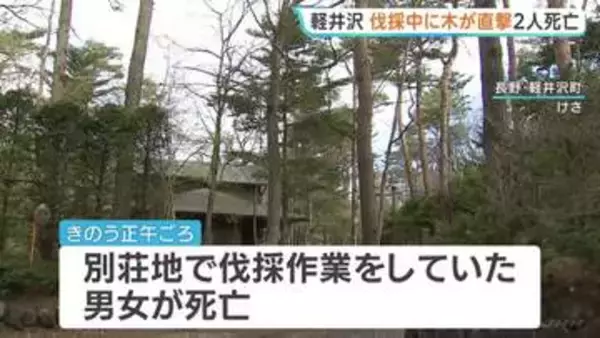 長野・軽井沢町の別荘地　伐採作業をしていた男女2人が死亡　ロープで下ろそうとした木が地上にいた2人に当たる