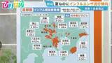 「夏なのに「インフルエンザ」関東で増加傾向　ワクチンの“空白期間”予防が重要【ひるおび】」の画像1