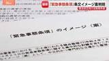 「『緊急事態条項』条文イメージ案が判明 「議員任期延長」「緊急政令」「オンライン国会」の3点が項目に」の画像1