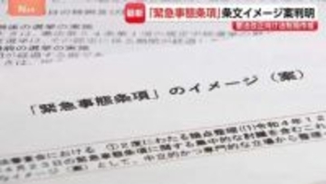 『緊急事態条項』条文イメージ案が判明 「議員任期延長」「緊急政令」「オンライン国会」の3点が項目に