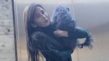 【 工藤静香 】　お気に入りのチノパンで愛犬の散歩　「ビビちゃんは寒いとお腹をこわすから、お散歩の時はお洋服を着ます」