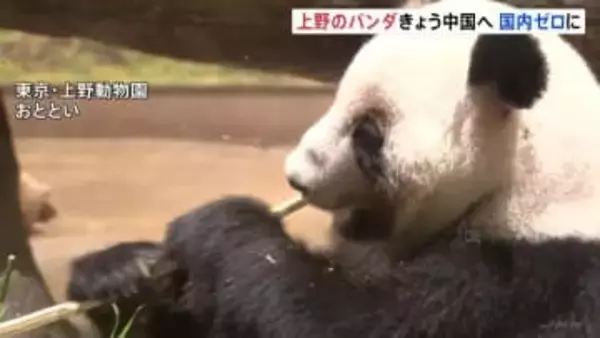 「会えなくなるのは寂しい」東京・上野動物園の双子パンダきょう中国へ向け出発　54年ぶりのパンダ不在に　園には別れを惜しむ多くの人が