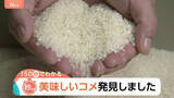 「最高ランク「特A」に43銘柄！千葉の「粒すけ」は“倒れない”強さで初選出　2025年おコメの食味ランキング【Nスタ解説】」の画像1