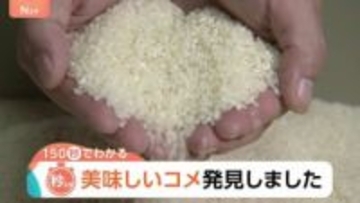 最高ランク「特A」に43銘柄！千葉の「粒すけ」は“倒れない”強さで初選出　2025年おコメの食味ランキング【Nスタ解説】