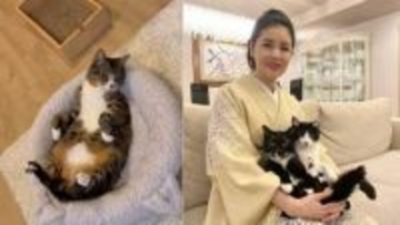 【 藤あや子 】保護猫・じゃこ天に「祝　野生放棄」　リビングで寛ぐ姿に安堵も　フォロワー共感「じゃこ天くんのヘソ天」