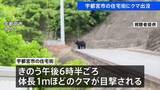 「宇都宮市の住宅街でクマ目撃　体長1メートルほど　きょうも警察や猟友会などによる警戒活動」の画像1