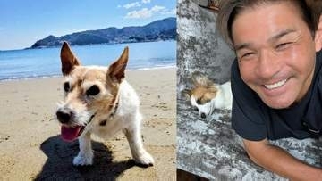 【 いぬ 】照英の愛犬パピコ「酷暑日が続いていて難しいですかね〜」　お昼寝で外遊びは思案中　先輩の愛犬テンはビーチの思い出