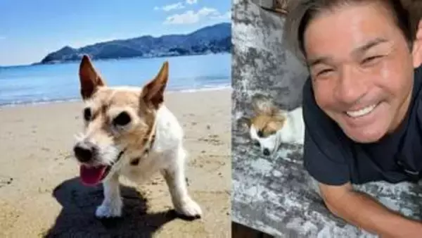 【 いぬ 】照英の愛犬パピコ「酷暑日が続いていて難しいですかね〜」　お昼寝で外遊びは思案中　先輩の愛犬テンはビーチの思い出