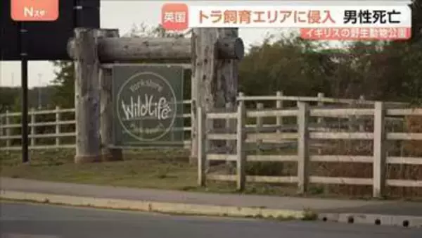 イギリスの野生動物公園でトラに襲われ男性死亡「男性がトラの飼育エリアに入り込んだ」と通報 囲いに入った理由は不明