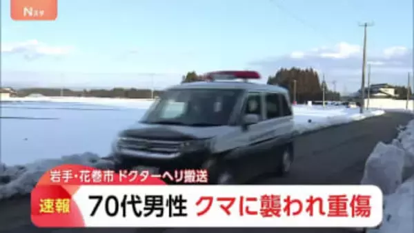 70代男性クマに襲われ重傷　ドクターヘリで搬送　頭や顔にけが　花火などで追い払い中に襲われたか　岩手・花巻市