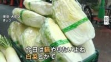 「今週がチャンス」 レタス54円 ホウレンソウ105円　葉物野菜が安い！ 関東“真冬並み気温”に逆戻りの中「鍋が食べたい！」人たちに朗報