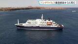 「大西洋航行のクルーズ船で集団感染か 3人死亡　呼吸器疾患や腎機能障害を引き起こす「ハンタウイルス」」の画像1