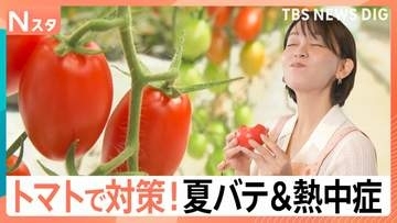 熱中症対策は「トマトに塩」農家直伝！ 夏バテ＆熱中症対策でトマトに注目　建設現場では差し入れにも【Nスタ】