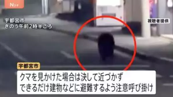 宇都宮市中心部でクマ目撃“40件以上”「一目で鳥肌が」街中の出現に戸惑い　市立小中学校が臨時休校　猟友会など捜索続ける