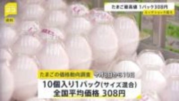 たまご価格が過去最高値 1パック308円　エッグショック超え