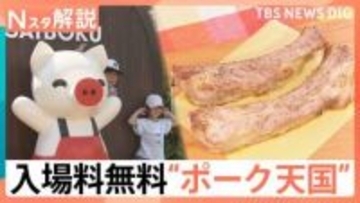 豚のテーマパーク「サイボク」は入場料無料でGW中大賑わい！　群馬には無料スポットが多数…なぜ？【Nスタ解説】