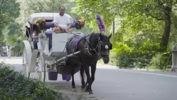 アメリカ・NYセントラルパークから「観光馬車」が消える？150年続く名物で初の死者 「廃止」めぐり賛否　今月（9月）にも法案審議へ