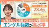 「エンゲル係数が高水準！食費増は「圧迫された家計」の表れか？消費からみえる鳥取の“カレー愛”【Nスタ解説】」の画像1