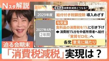 議論進まぬ消費税減税…総理「8月頭でも間に合う」 17日に会期末 積み残した重要法案どうなる？【Nスタ解説】