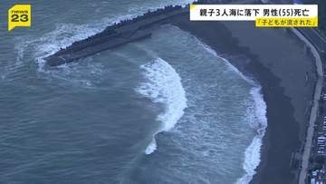 「子どもが波に流された」静岡・東伊豆町のビーチで親子3人が海に転落　55歳男性が死亡 14歳と10歳は命に別状なし