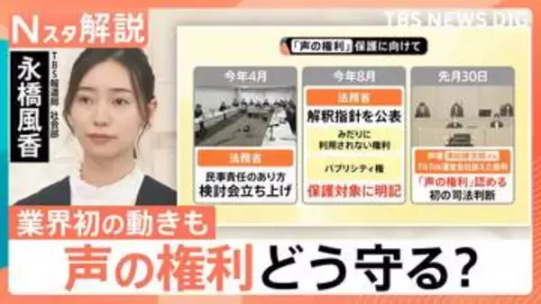 AIで声を無断生成 損失は約20億～45億円「声の権利」認める初の司法判断も“構造的な限界”と課題【Nスタ解説】