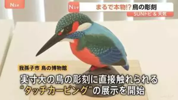 実物大の鳥の彫刻を直接触れる“タッチカービング” 「多くの鳥を触って目の見えない人に記憶してもらいたい」【SUNトピ】