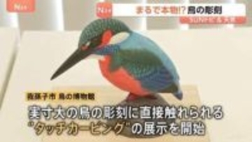 実物大の鳥の彫刻を直接触れる“タッチカービング” 「多くの鳥を触って目の見えない人に記憶してもらいたい」【SUNトピ】