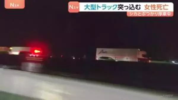 シカと衝突し停車中の車に大型トラック突っ込む　女性(22)死亡　運転の男(46)を逮捕　愛知・新城市の新東名高速道路