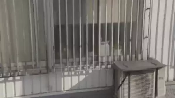 宇都宮市のリサイクルショップですだれ燃やした疑い　36歳の男を逮捕　同日・同時間帯に市内で相次ぐ不審火 関連を捜査